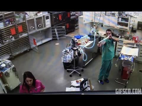 guante,tiro,fail,elastico,lanzar,intentar,parece un veterinario,camara de seguridad