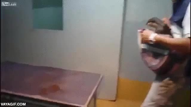 nutraia,truco,adiestrar,hacerse la muerta,por comida