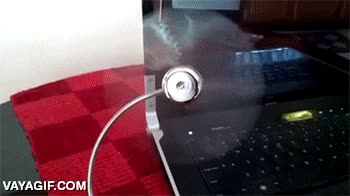 hora,decir,luces,iluminar,ventilador,helice,con agujas y todo