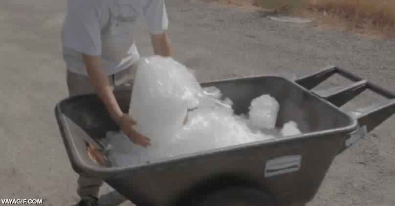 puente,saltar,paracaidismo,paracaidista,al agua,hielo