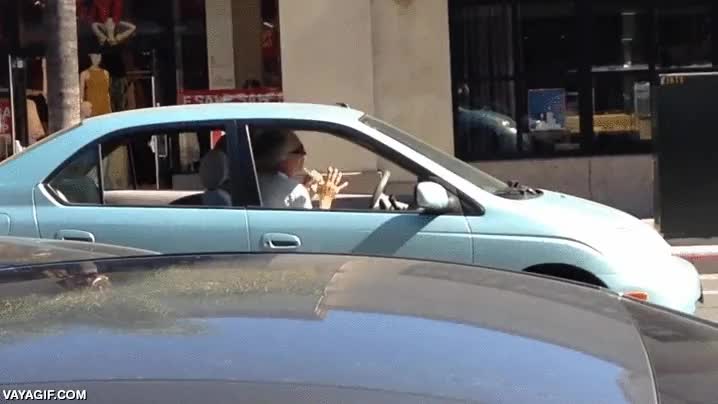 solo,flauta dulce,coche,tocar,dandolo todo