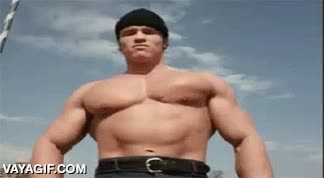 Arnold Schwarzenegger,gigante,torino,pectorales,defender,abuson