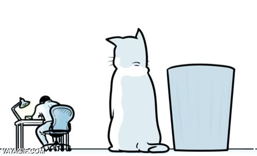 alley-oop,gato,pase,papel,papelera,machacar