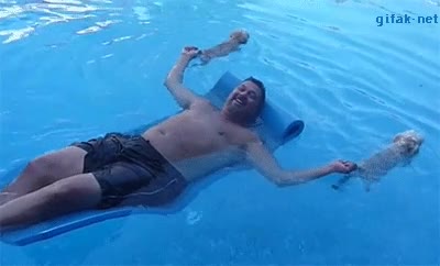 cachorros,perro,perros,colchoneta hinchable,nadar