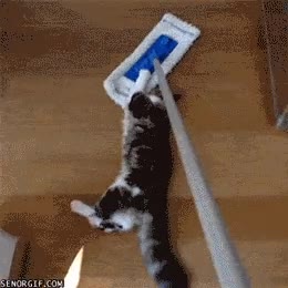 atrapa-gatos,mopa,arrastrar,jugar,enganchados,gato