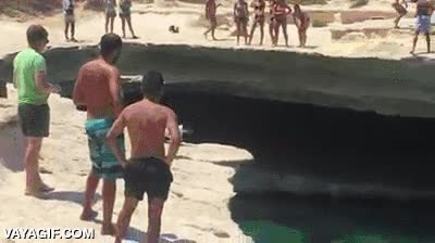 perro,acantilado,saltar,salto,valiente,bien puestos