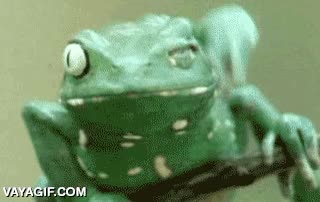 rana,rascar,telara&ntilde;a,quitar