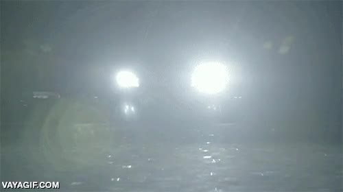 Lexus RC F,coche,ritmo cardiaco,tuning,iluminaci&oacute;n,proyecci&oacute;n