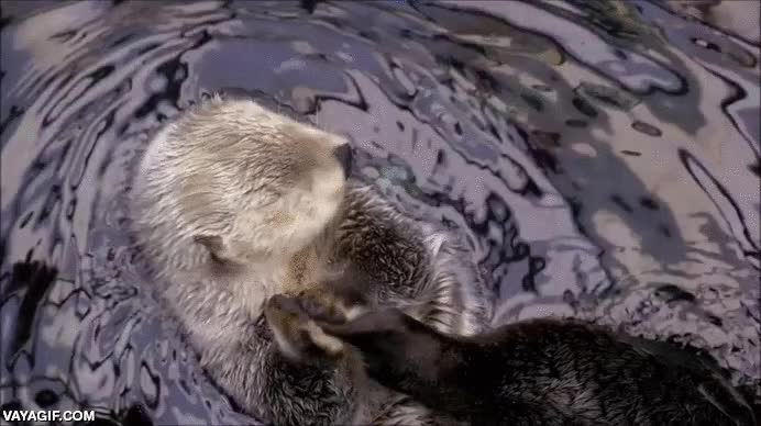 masaje,pies,nutria,dia duro,masajearse