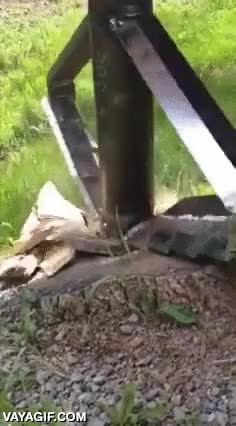 tocon,arbol,cortar,taladro,arrancar,quitar,eliminar