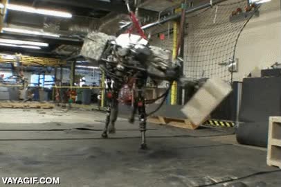 maletas,las trata igual,trabajador,lanzar,tirar,aeropuerto,con el mismo cuidado