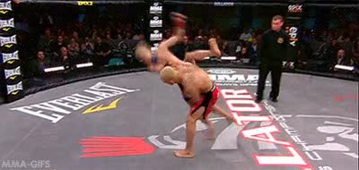 puñetazo,tumbar,combate,patada,al suelo,NOPE!