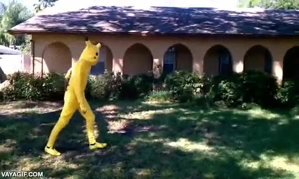 pikachu,fail,disfraz,eso pasa por no ver,kick jump,saltar,arbol