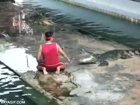 cocodrilo,asustar,si no jugasen con ellos no habr&iacute;a que sufrir,susto,fail,resbalar