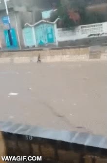 heroe,salvar,valiente,ni&ntilde;o,atrapado,corriente