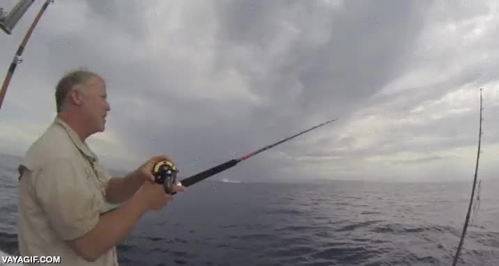 tiburon,saltar,pescar,pescador,fuera del agua,barca