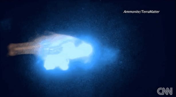 El pez que aprendió a lanzar hadoukens como en el Street Fighter ostracod,quimica,bioluminiscente,pez,pescado,lanzar,hadouken