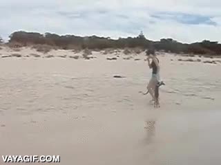 canguro,cangrito,cr&iacute;a,perseguir,agua,sorpresa,playa,ba&ntilde;ar