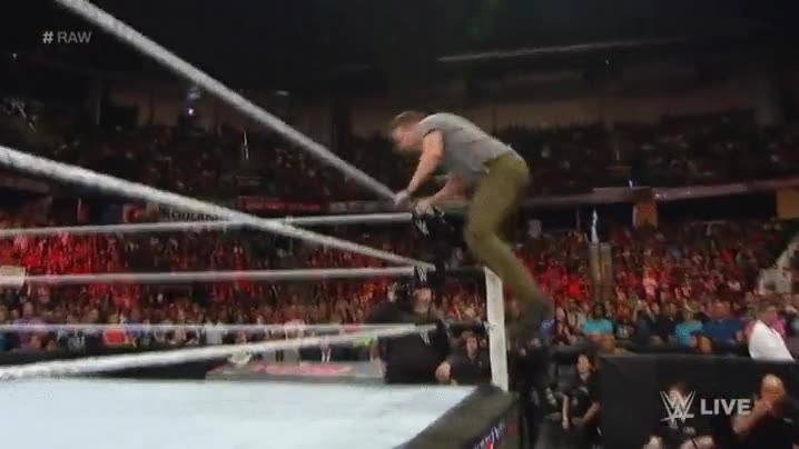 todo m&aacute;s ama&ntilde;ado imposible,publico,debe ser otro luchador,stardust,saltar al ring