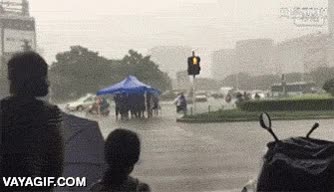 toldo,caminar,mover,en grupo,en bloque,bien pensado,buena idea