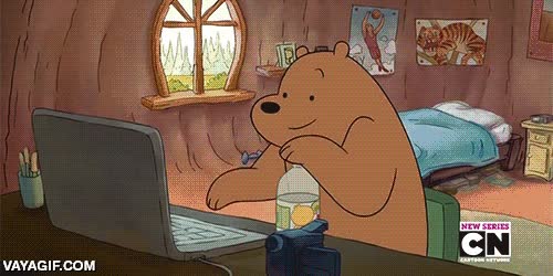 oso,oso panda,oso polar,dibujos animados,ordenador,vacaciones