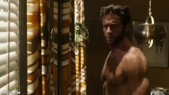 lobezno,wolverine,guepardo,instrumentos musicales,dumbo,ventana