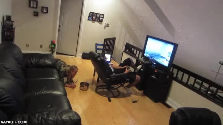 battlefield,juego de guerra,videojuego,susto,petardos,novia troll,valiente