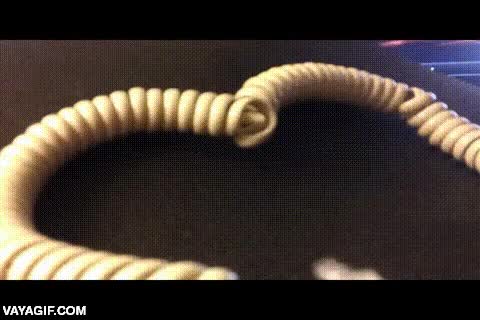 cable,teléfono,ahora ya me da igual,desenrollar,nudo