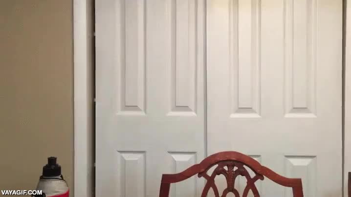 fiesta,ojos,sacacorchos,brazos