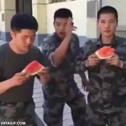 comer,sand&iacute;a,devorar