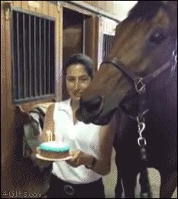caballo,soplar,velas,tarta