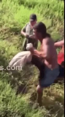 golpe,pez,ataque,salvadlo pobreeeee