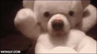 perro,peluche,raro,osito