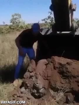 excavadora,armadillo,huge,gigante,grande