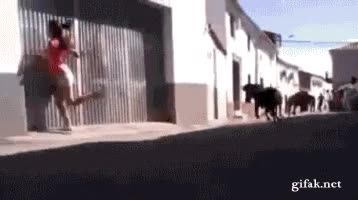 Si vas a correr delante de vaquillas, siempre siempre siempre mira hacia delante vaquilla,carrera,golpe