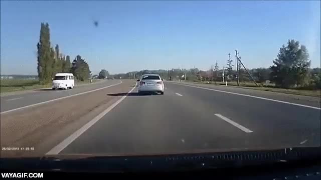 temerarios,casi,carretera,atropello