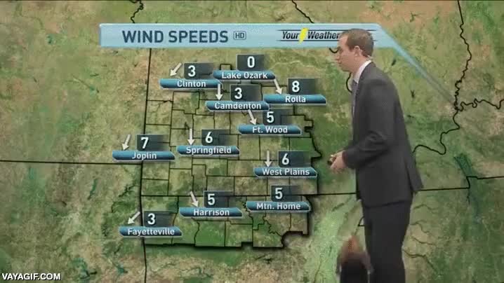 presentador,jugar,perro,l&aacute;nzame esto