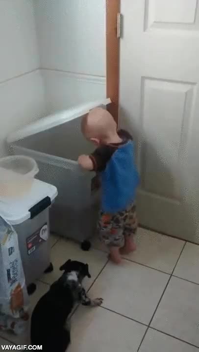 pillar comida,pienso,perro,bebe,ni&ntilde;o,dar de comer