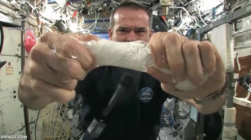 Estrujando una bayeta húmeda en la estación espacial internacional estrujar,bayeta,humeda,mojada,agua,astronauta,estacion espacial internacional