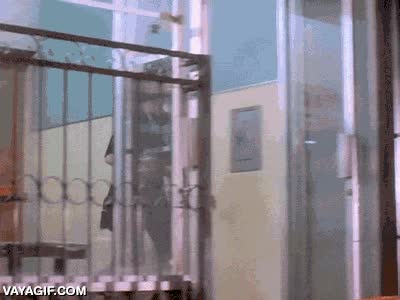 deal with it,giro,vacilar a alguien,gafas de sol