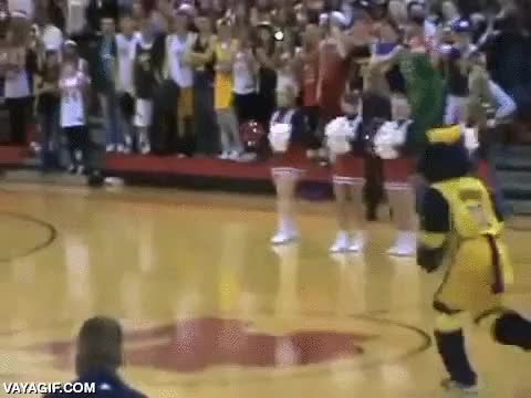 mascota,espectacul,colchoneta,cama elastica,mate,romper,canasta,basket