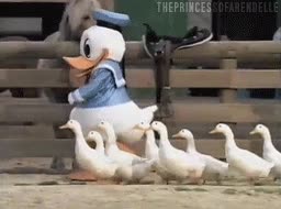 Patos,Donald,ejercito,conquistar el mundo,Disney,bwajajaja