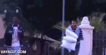 almohada,pelea,lucha,callejera,buenos reflejos todo el mundo