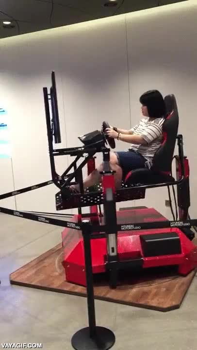 coche,conducir,dispositivo,tecnolog&iacute;a,videojuego,volante