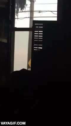 despertar,al menos me alegra la ma&ntilde;ana,ma&ntilde;anas,mu&ntilde;eco que baila