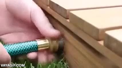 ducha,al rev&eacute;s,y sin apretar botones ni grifos,chorro,mojarse,jardin