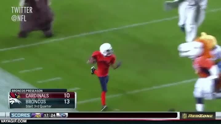 vacilada,mascota,futbol americano,empujon de la vida,vacilar,denver nuggets