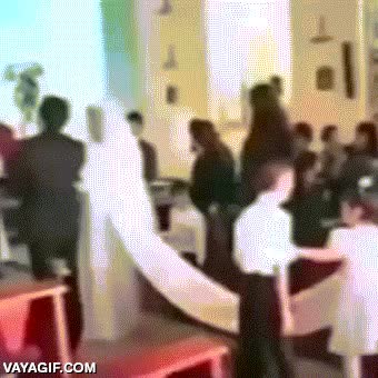 boda,pelea,llevar,cola,empujon,romper,separar,novia