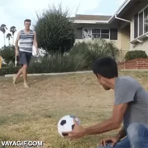 balon,pelota,futbol,perro,dalmata,chutar,efectos especiales