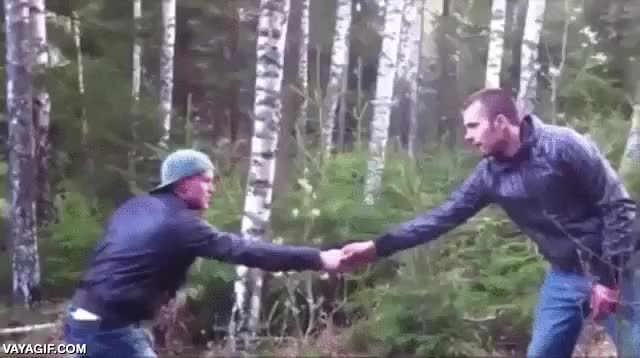 merecido,karma,empujar,romper,tronco,arbol,caer encima